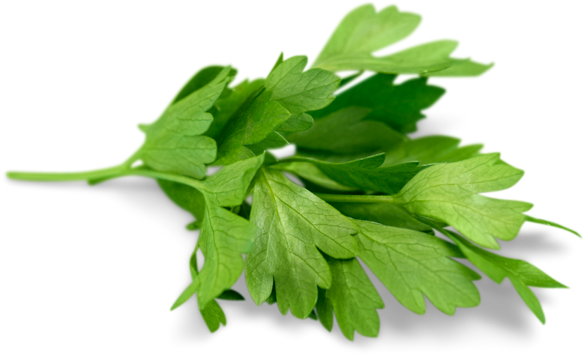 alternative medicine fresh herbs